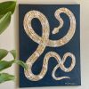 Water Moccasin - Image 2